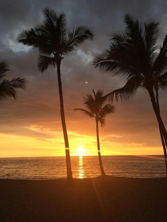Newly Renovated Condo With Sup Paddle Boards And Golf Clubs Included Kailua-Kona Eksteriør bilde