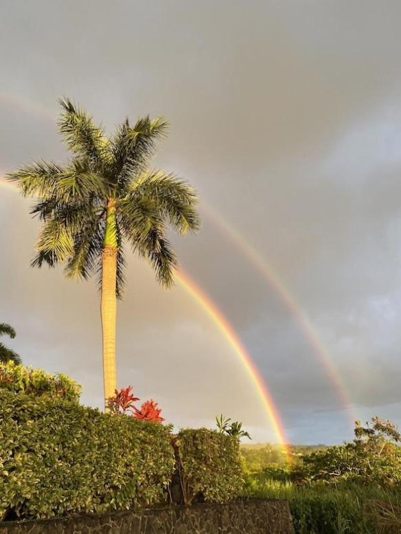 Newly Renovated Condo With Sup Paddle Boards And Golf Clubs Included Kailua-Kona Eksteriør bilde
